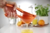 Wyciskacz do pomarańczy, 232x91x60 mm | BARUP, 592069