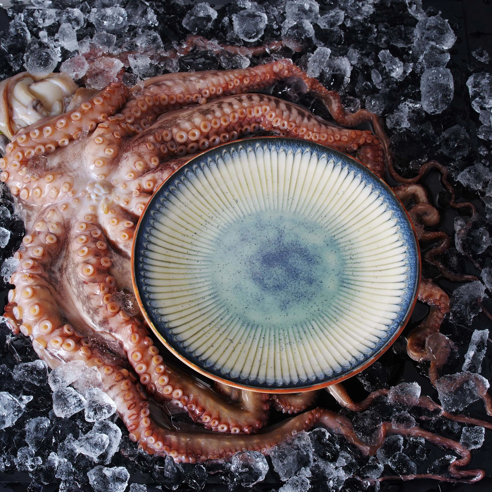 Talerz płytki, 270 mm | FINE DINE, Galaxy