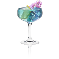 Kieliszek/czarka do szampana, 260 ml | RONA, Classic Cocktails