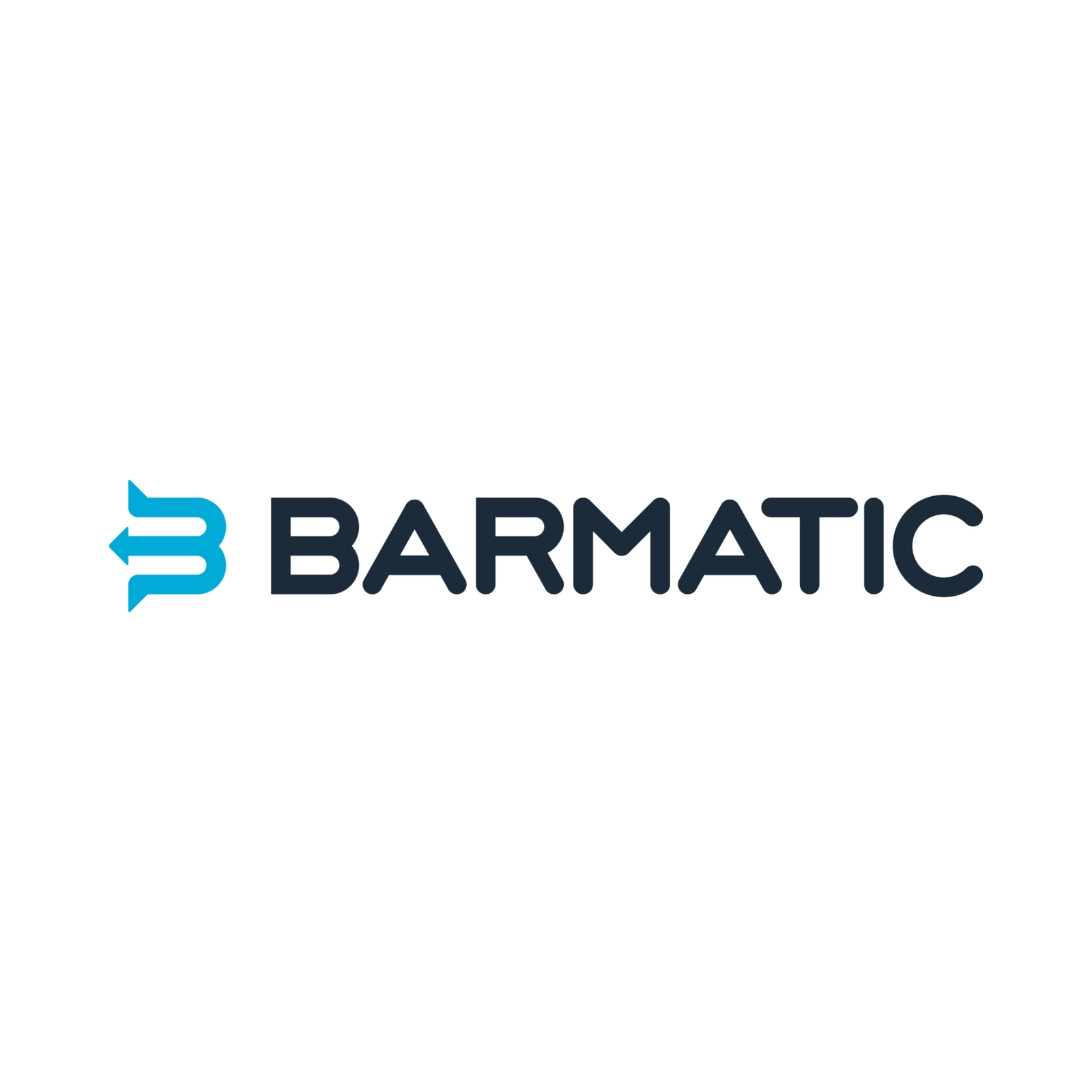 Filtr z głowicą do kostkarek 9.0 | BARMATIC, 947036
