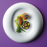 Talerz gourmet, Ø270 mm | FINE DINE, Fizz