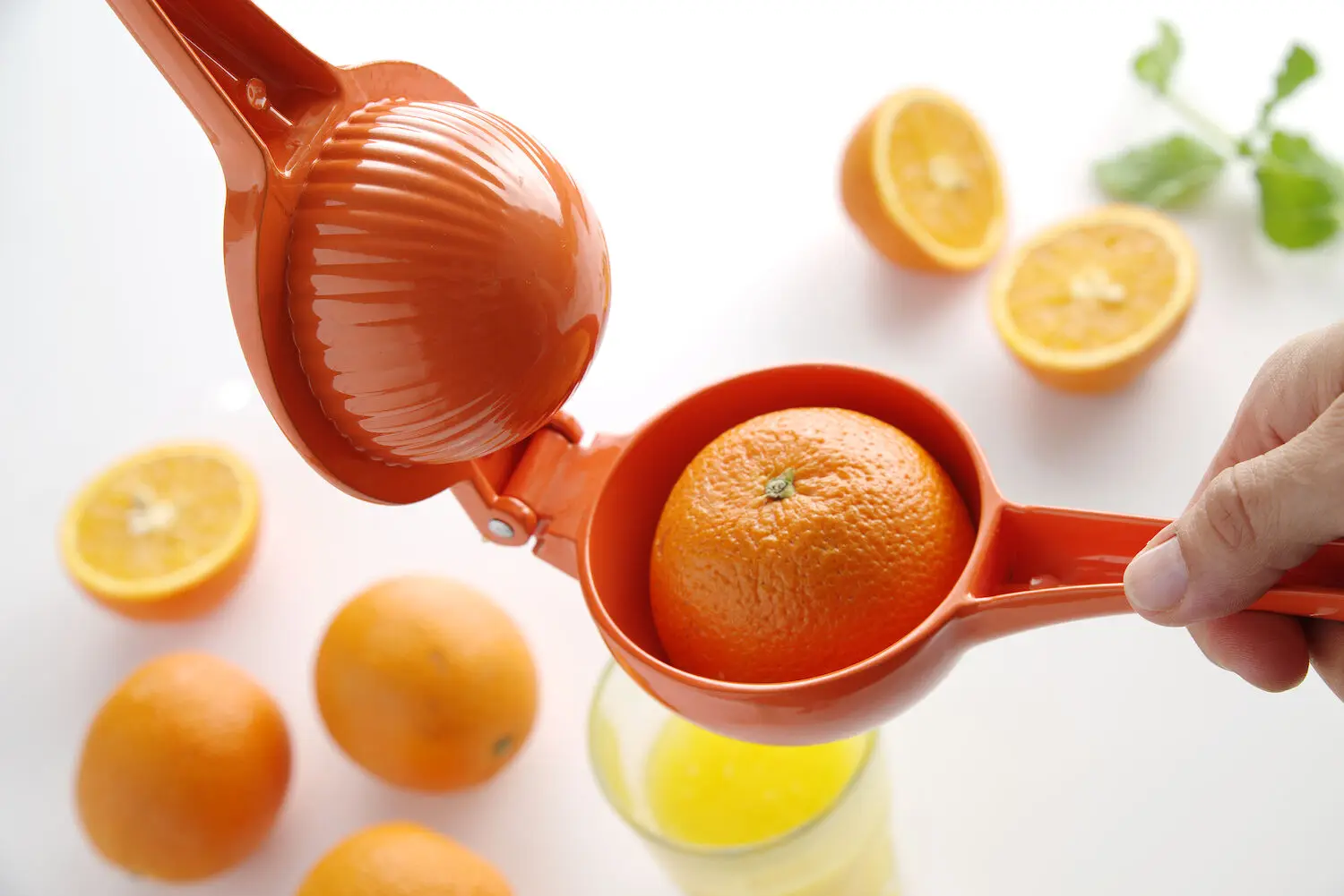 Wyciskacz do pomarańczy, 232x91x60 mm | BARUP, 592069