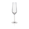 Kieliszek do szampana, 180 ml | RONA, Invitation