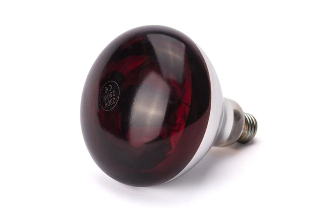 Żarówka podczerwona do lamp grzewczych, 0,25 kW, 230 V, ⌀125×170 mm | HENDI, 919217
