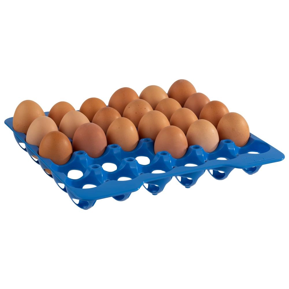 Taca na jajka zestaw 4 sztuk, niebieska 280x280 mm | APS, 82420