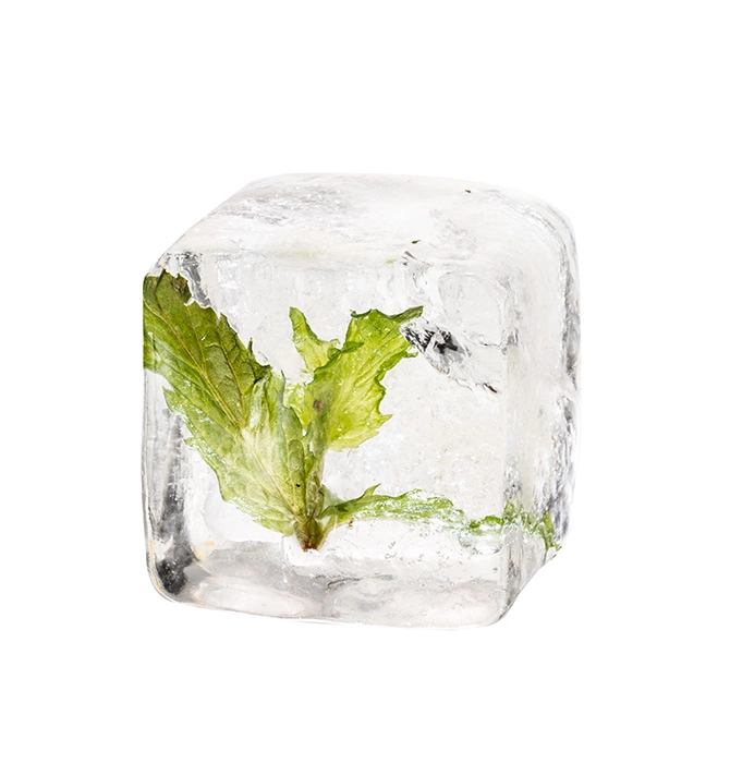 Forma do kostek lodu 155×155×55 mm, 2 szt. z silikonu | APS, 36102