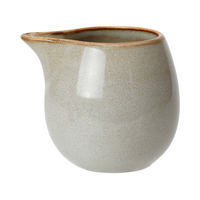 Mlecznik, 170 ml, szary | STEELITE, Potter’s Collection Pier