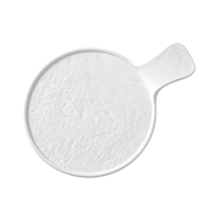 Talerz serwingowy z rączką, 300×220×30 mm, biały | FINE DINE, Nordic