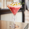 Kieliszek do martini, 210 ml | ARCOROC, Broadway