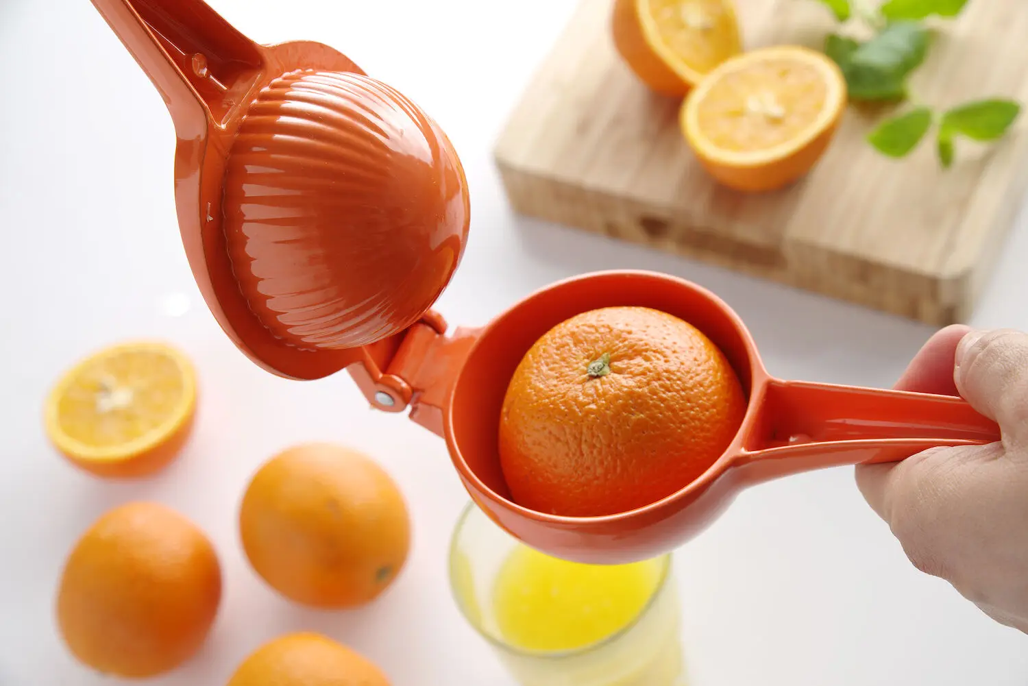 Wyciskacz do pomarańczy, 232x91x60 mm | BARUP, 592069